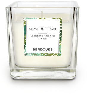 Selva Do Brazil Candle