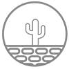 Dry Scalp