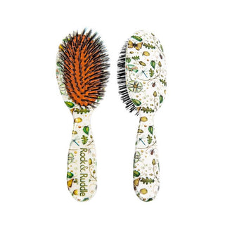 Acorns & Butterflies - Large